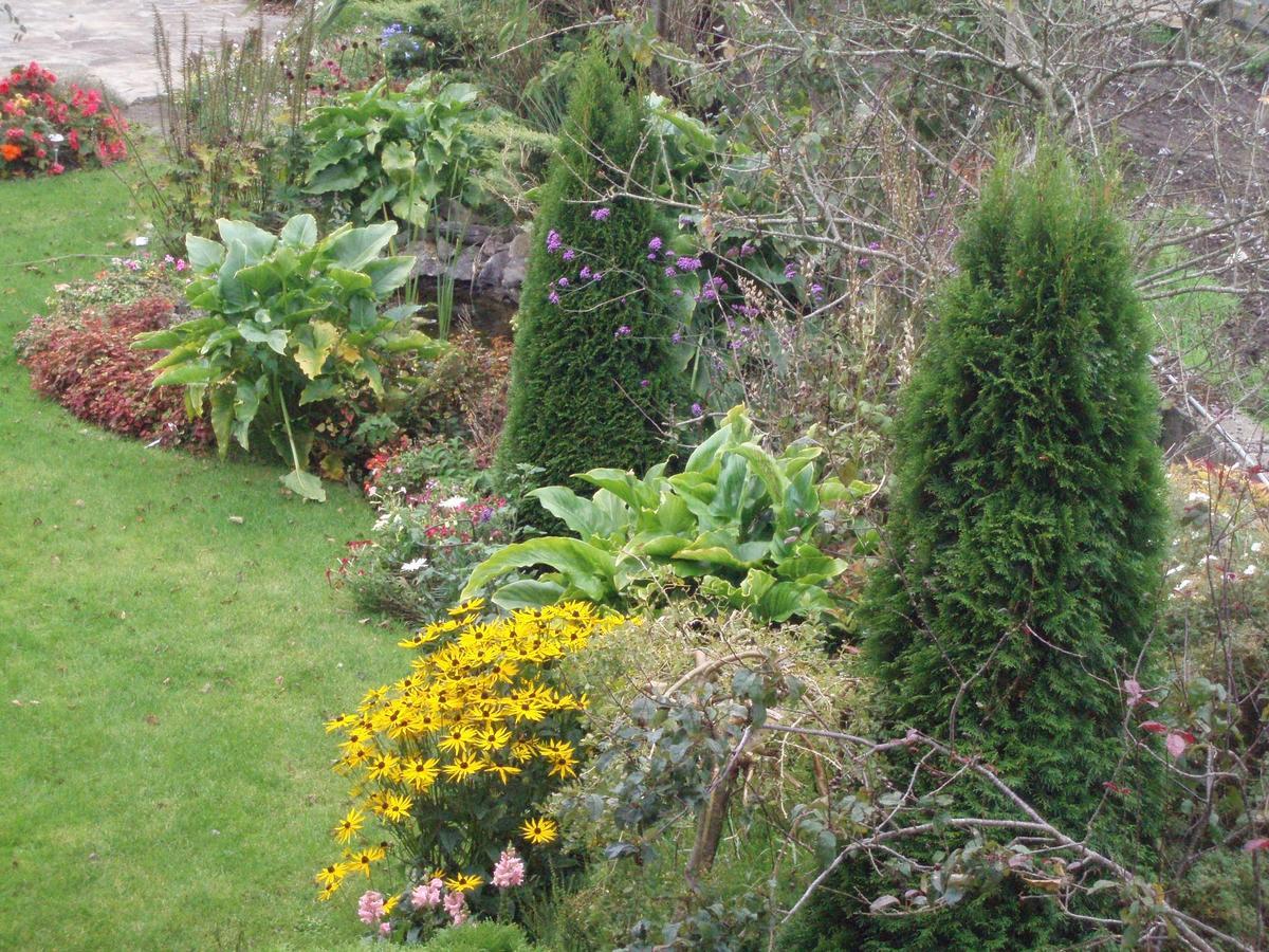 Rosdarrig Bed & Breakfast Boyle Exterior photo